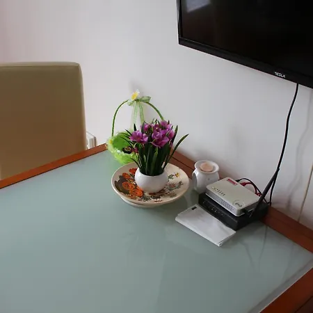 Appartement Central Nest *